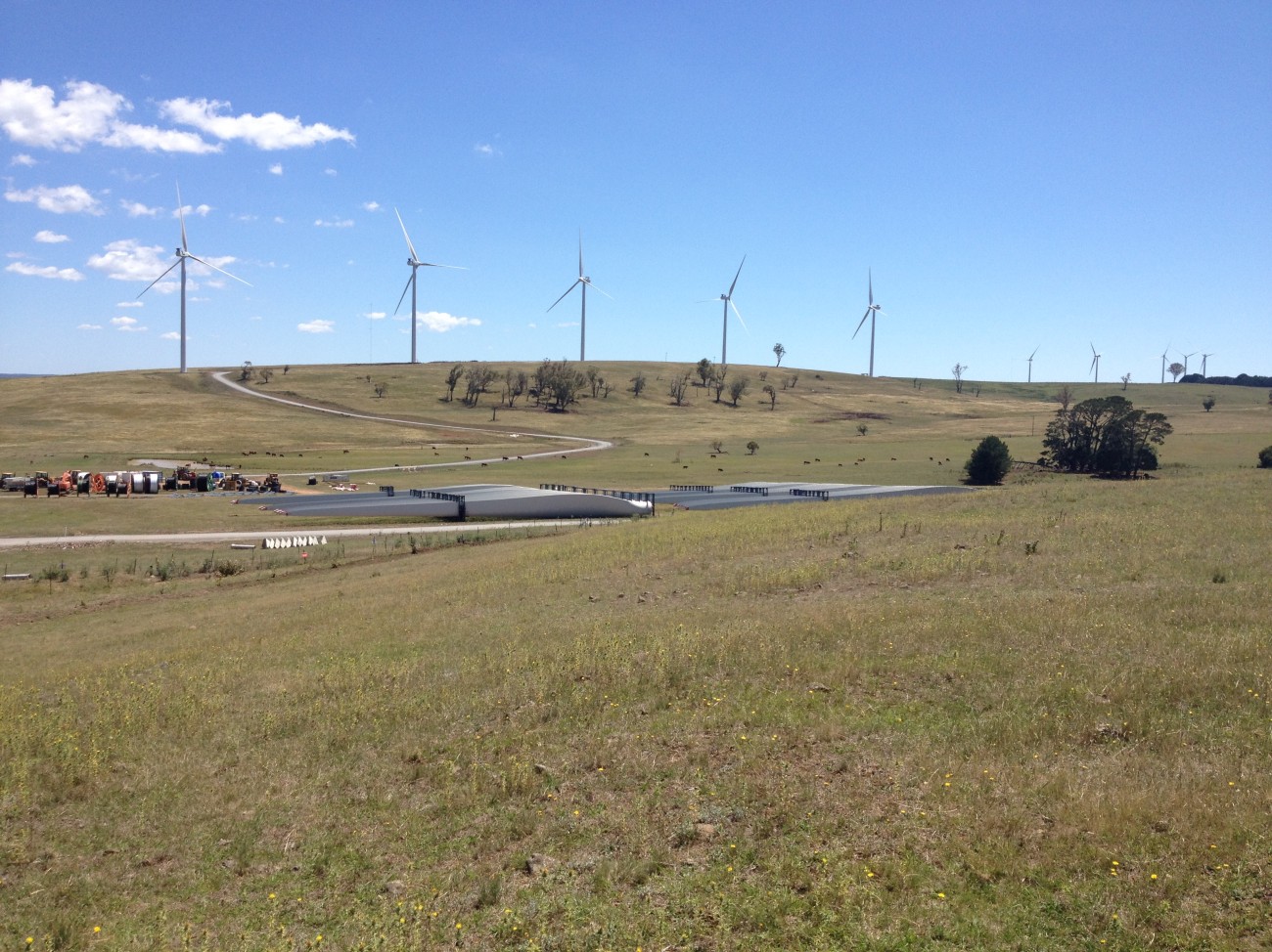 Taralga Windfarm Project.jpg
